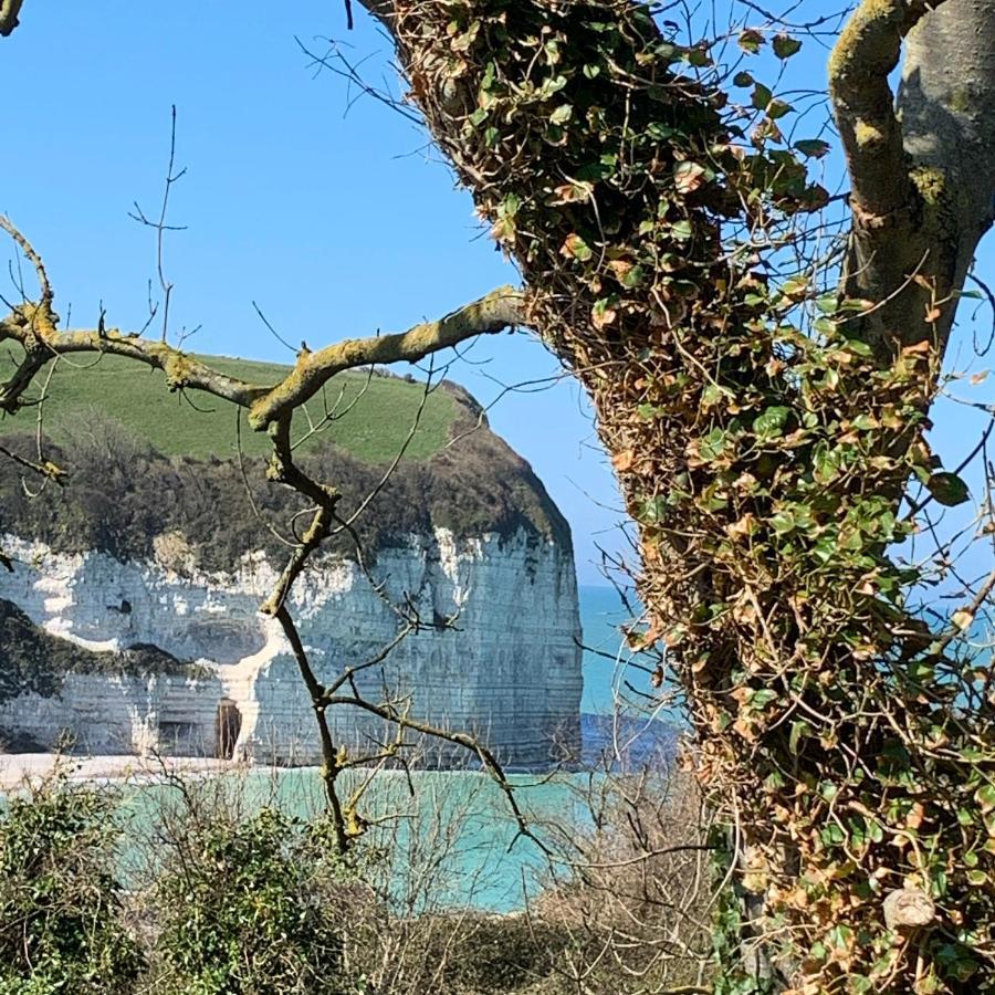 Le Ponton Daire Fécamp Dış mekan fotoğraf